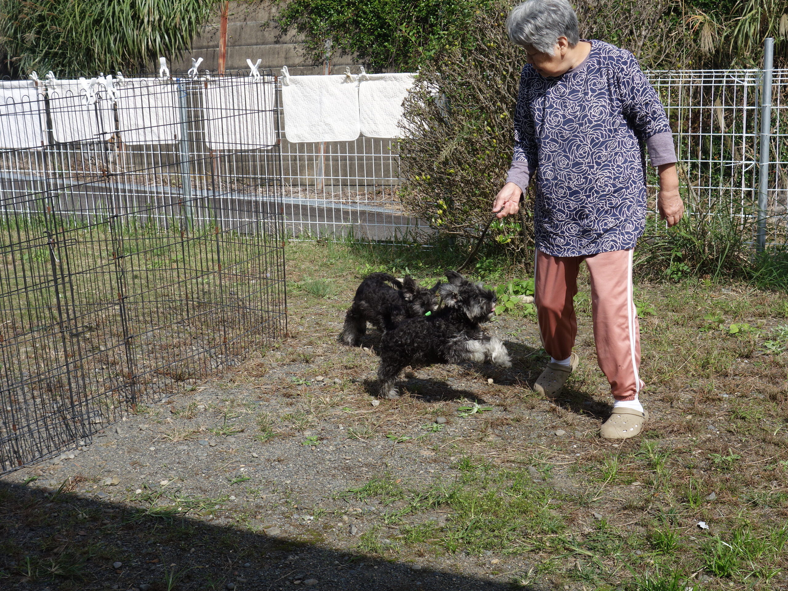 やっとできました